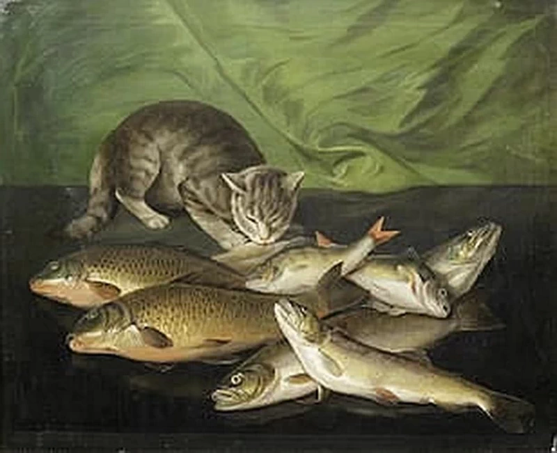 Un gatto accovacciato con orata, salmone, pesce persico e trota su una sporgenza di pietra